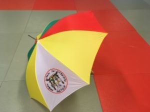 A vendre parapluie